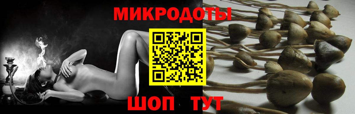 Петропавловск-Камчатский  Галлюциногенные грибы ЛСД  купить закладку  Вход с VPN  Псилоцибиновые грибы Psilocybe 
